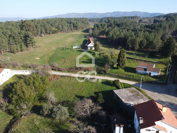 Terreno para Venda em São Pedro de Agostem Foto 13