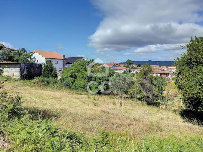 Terreno para Venda em São Pedro de Agostem Foto 6