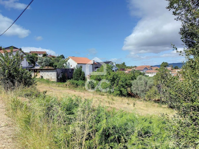 Terreno para Venda em São Pedro de Agostem Foto 5