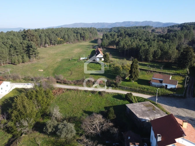 Terreno para Venda em São Pedro de Agostem Foto 14