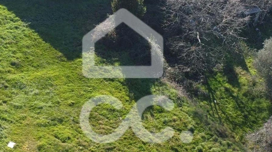 Terreno para Venda em São Pedro de Agostem