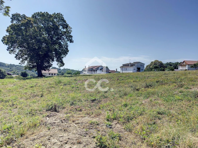 Terreno para Venda em Cimo de Vila da Castanheira Foto 4