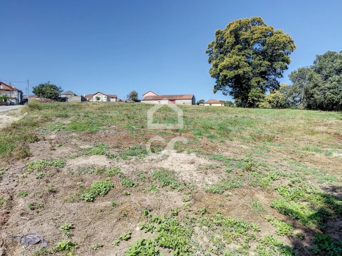 Terreno para Venda em Cimo de Vila da Castanheira Foto 7
