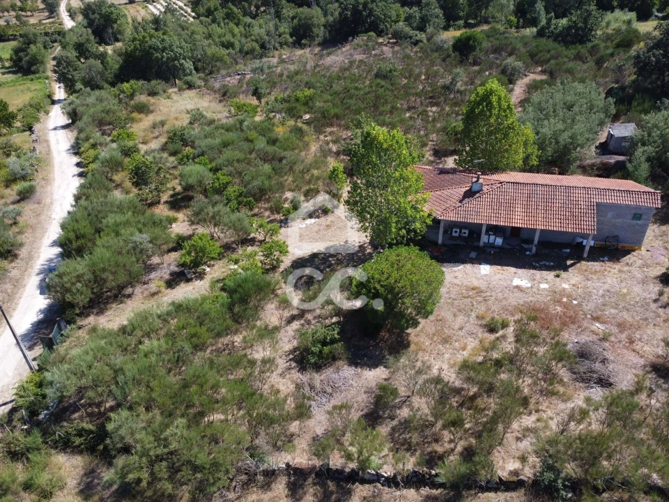 Terreno para Venda em Santa Cruz/Trindade e Sanjurge Foto 4