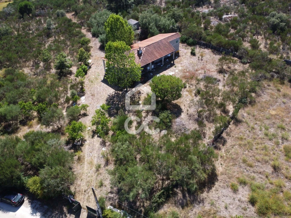 Terreno para Venda em Santa Cruz/Trindade e Sanjurge Foto 6