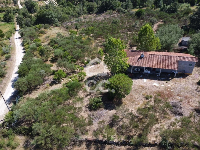 Terreno para Venda em Santa Cruz/Trindade e Sanjurge Foto 4
