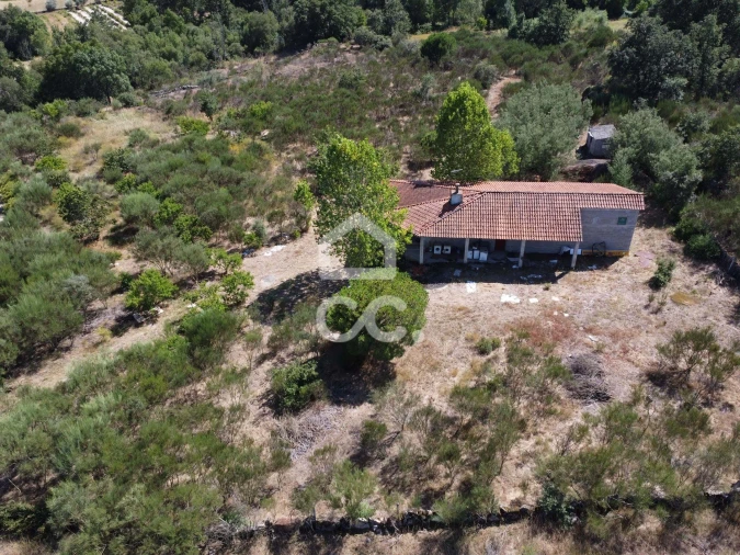 Terreno para Venda em Santa Cruz/Trindade e Sanjurge Foto 8