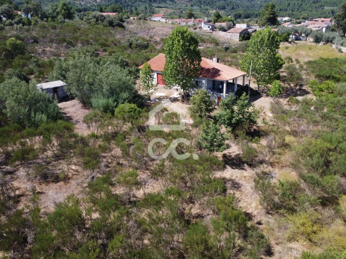 Terreno para Venda em Santa Cruz/Trindade e Sanjurge Foto 10