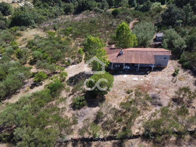 Terreno para Venda em Santa Cruz/Trindade e Sanjurge Foto 7
