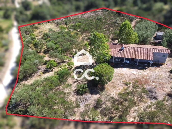 Terreno para Venda em Santa Cruz/Trindade e Sanjurge Foto 1