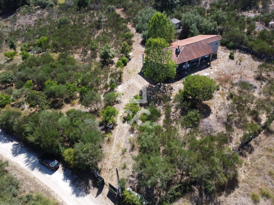 Terreno para Venda em Santa Cruz/Trindade e Sanjurge Foto 3