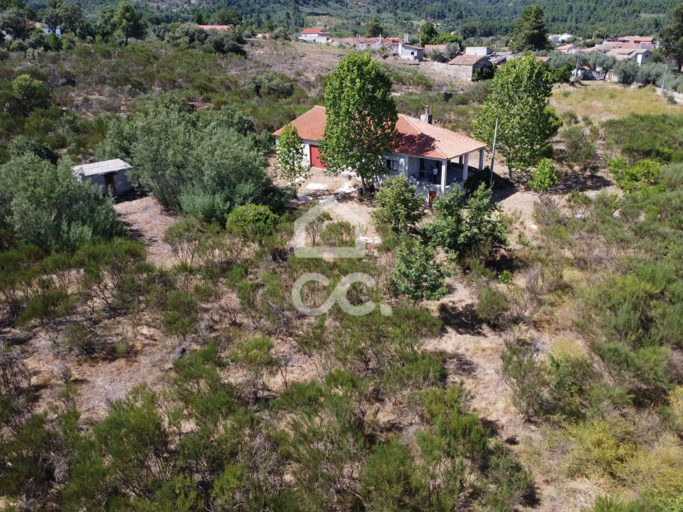 Terreno para Venda em Santa Cruz/Trindade e Sanjurge Foto 10