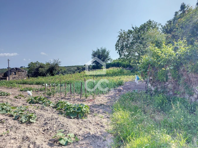 Moradia T7 para Venda em Travancas e Roriz Foto 15