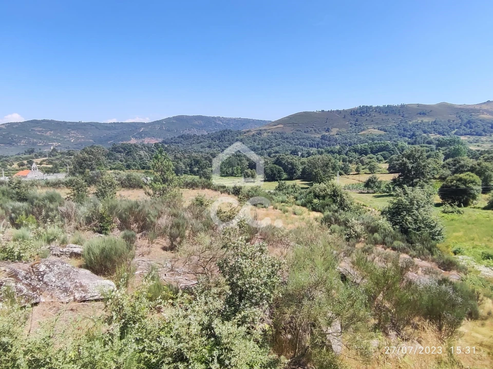 Terreno para Venda em Sapiãos Foto 2