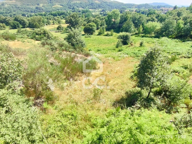Terreno para Venda em Sapiãos Foto 6