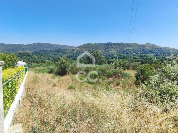 Terreno para Venda em Sapiãos Foto 9