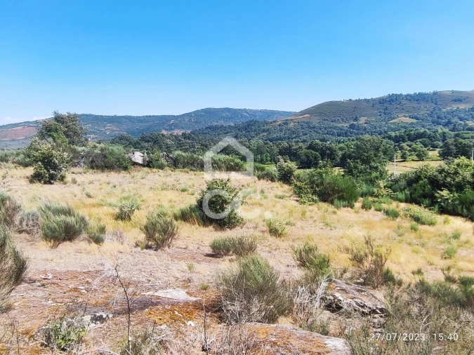 Terreno para Venda em Sapiãos Foto 12