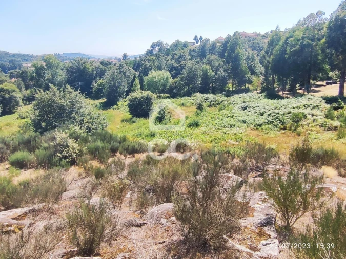 Terreno para Venda em Sapiãos Foto 11