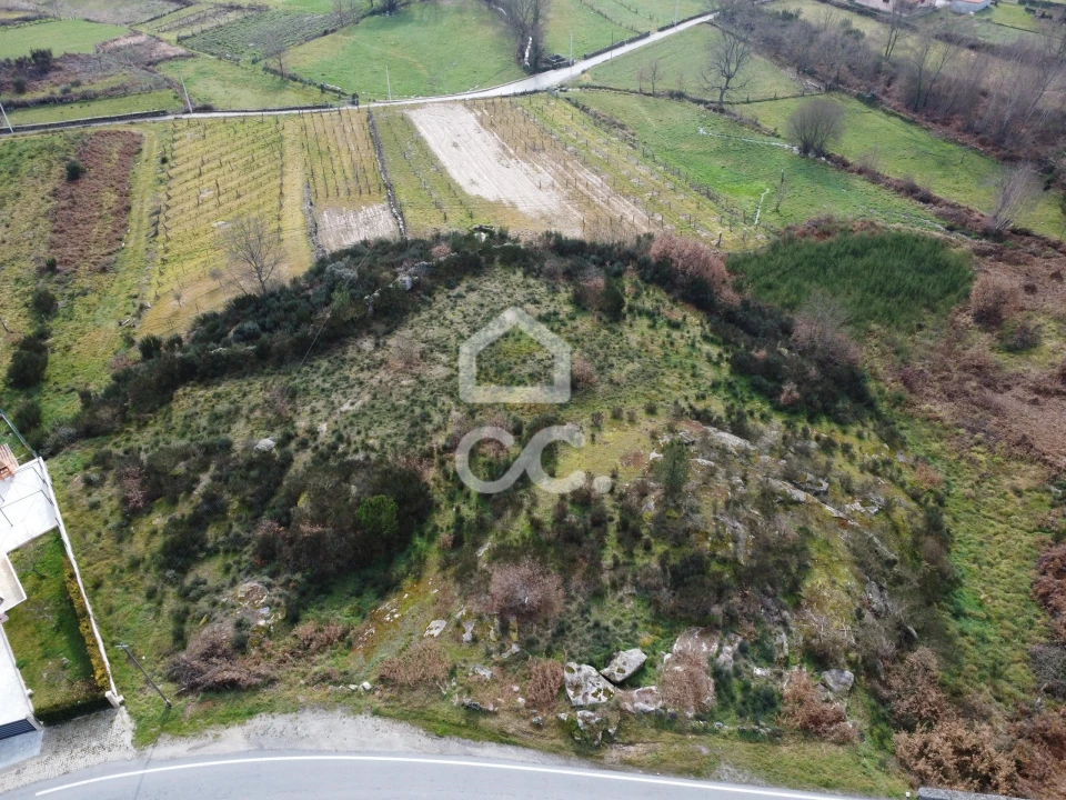 Terreno para Venda em Sapiãos Foto 14