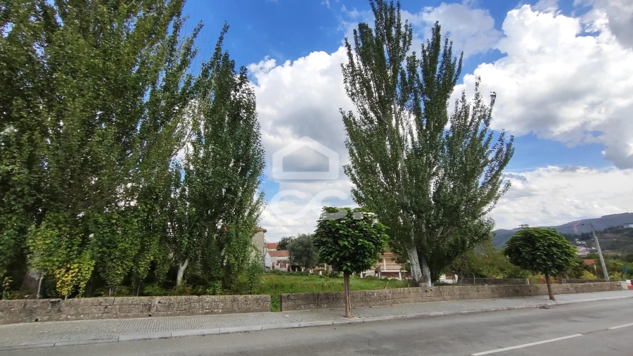 Terreno para Venda em Boticas e Granja Foto 13