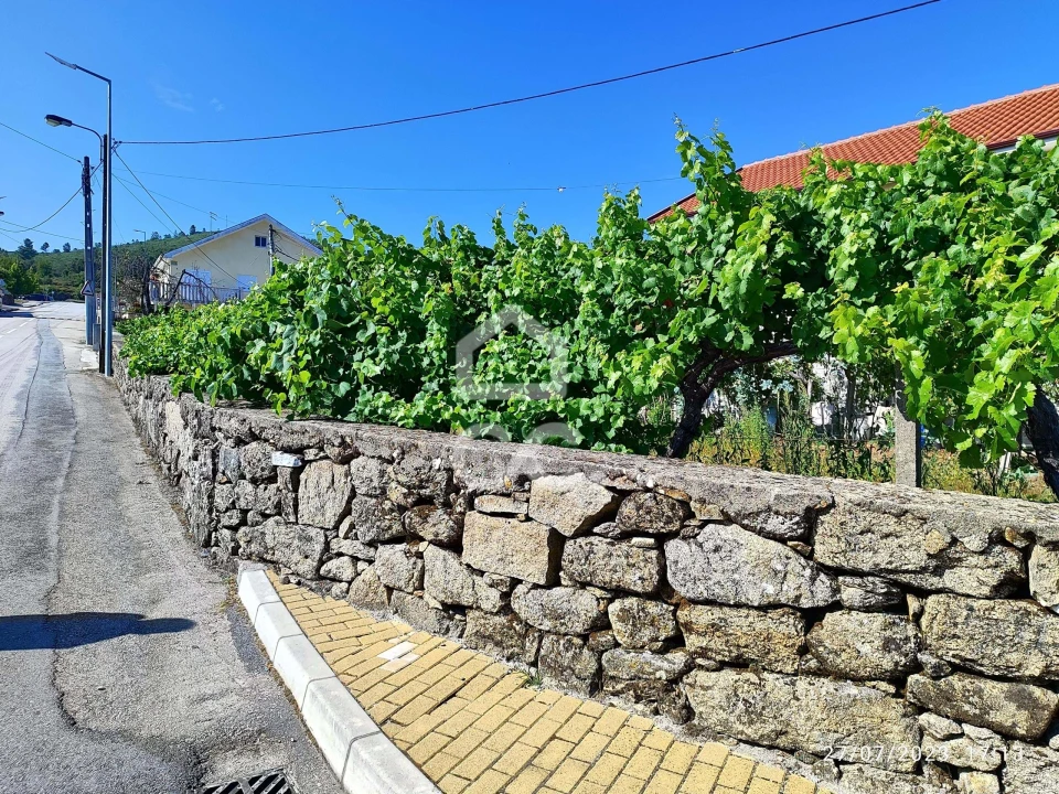 Terreno para Venda em Boticas e Granja Foto 8