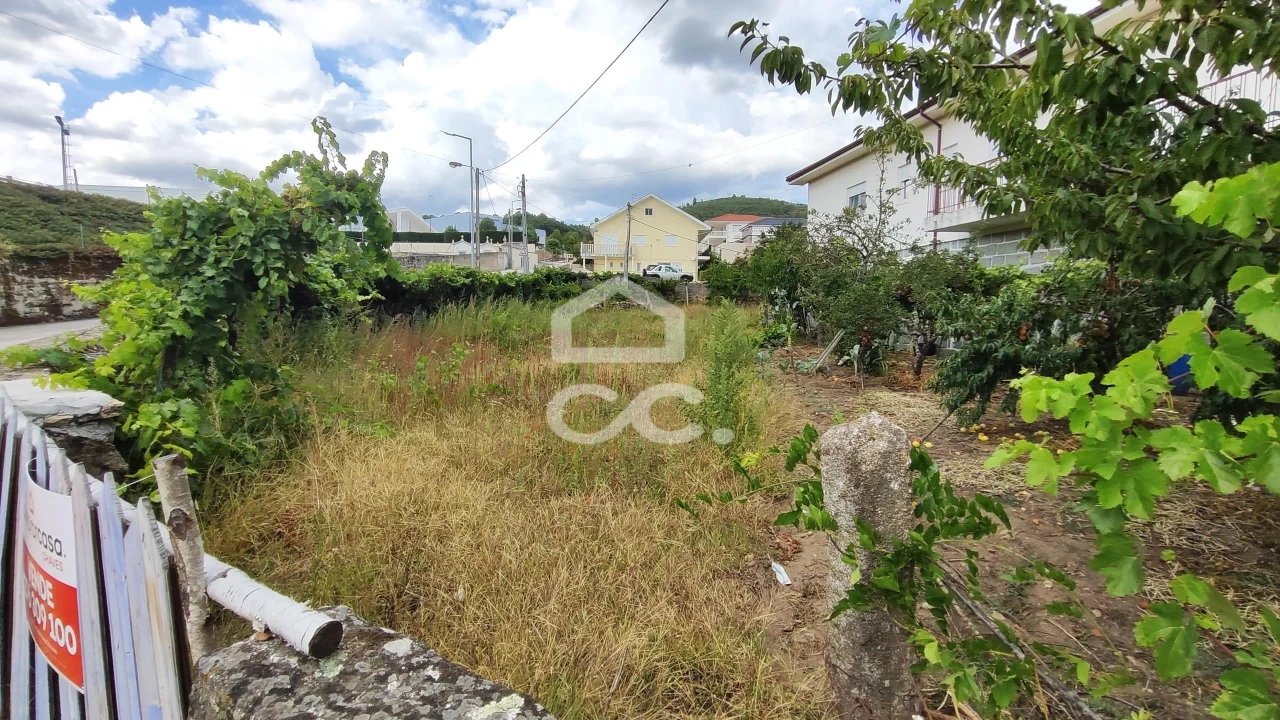 Terreno para Venda em Boticas e Granja Foto 13