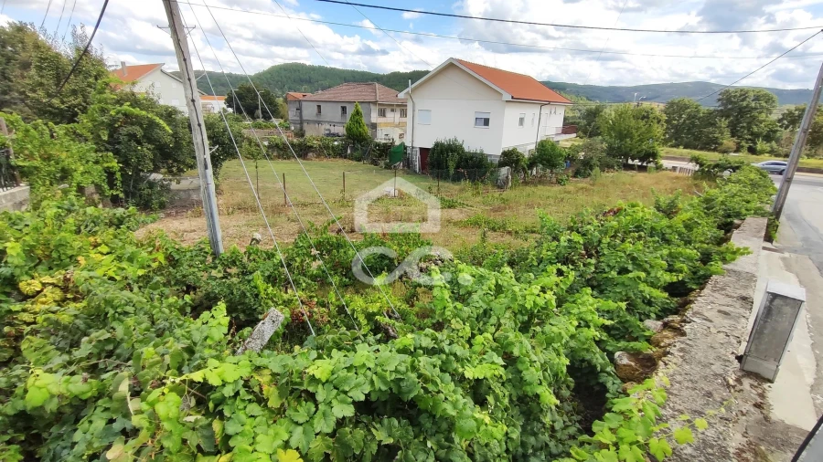 Terreno para Venda em Boticas e Granja Foto 15