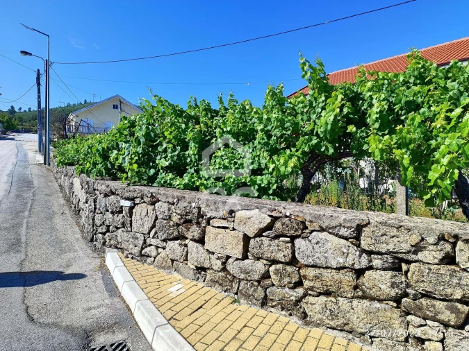 Terreno para Venda em Boticas e Granja Foto 8