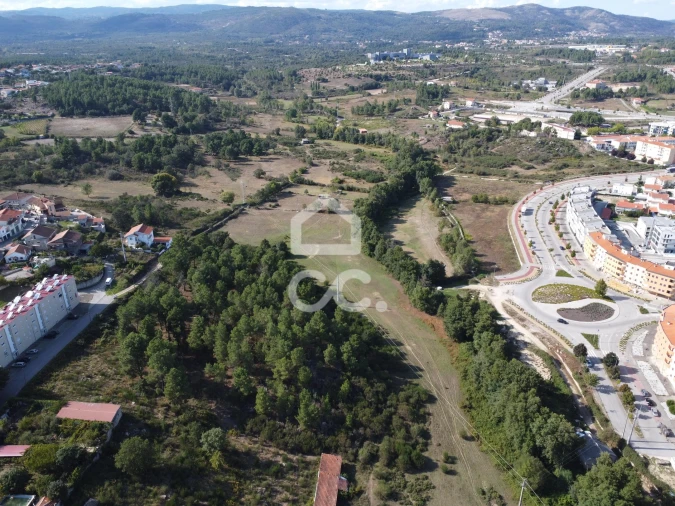 Terreno para Venda em Santa Maria Maior Foto 5