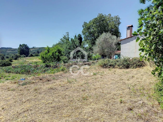 Moradia T4 para Venda em Travancas e Roriz Foto 22