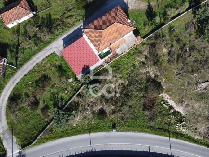 Terreno para Venda em Santa Maria Maior Foto 18