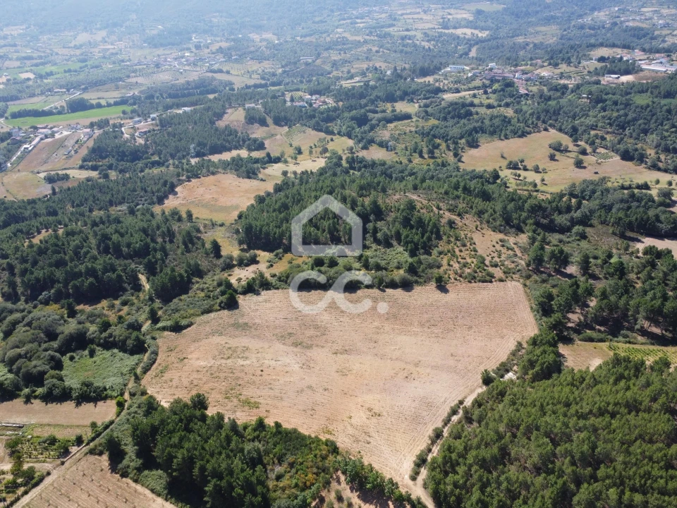 Terreno para Venda em São Pedro de Agostem Foto 11