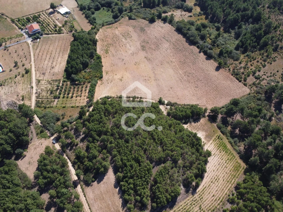 Terreno para Venda em São Pedro de Agostem Foto 3