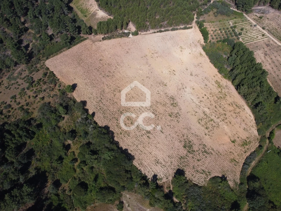 Terreno para Venda em São Pedro de Agostem Foto 7