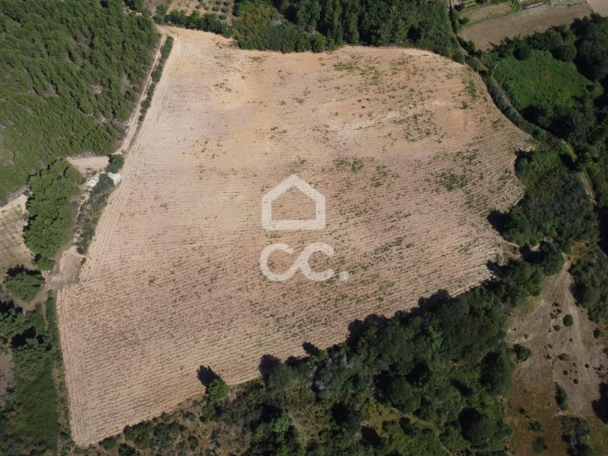 Terreno para Venda em São Pedro de Agostem Foto 6