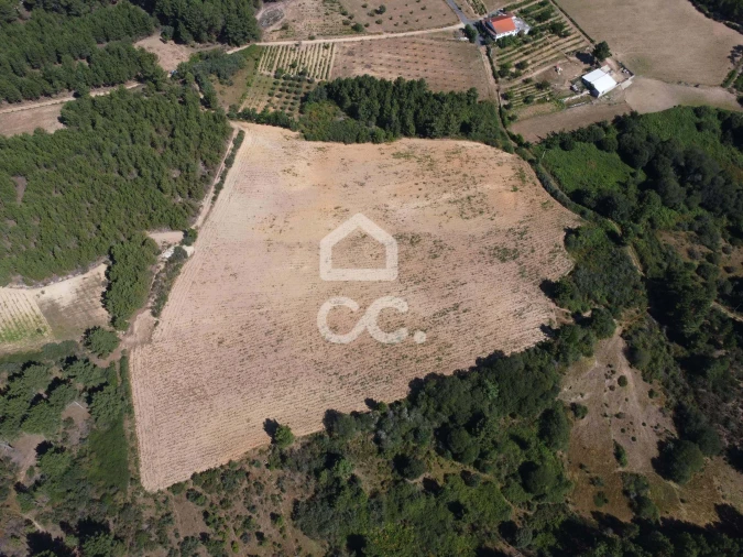 Terreno para Venda em São Pedro de Agostem Foto 5