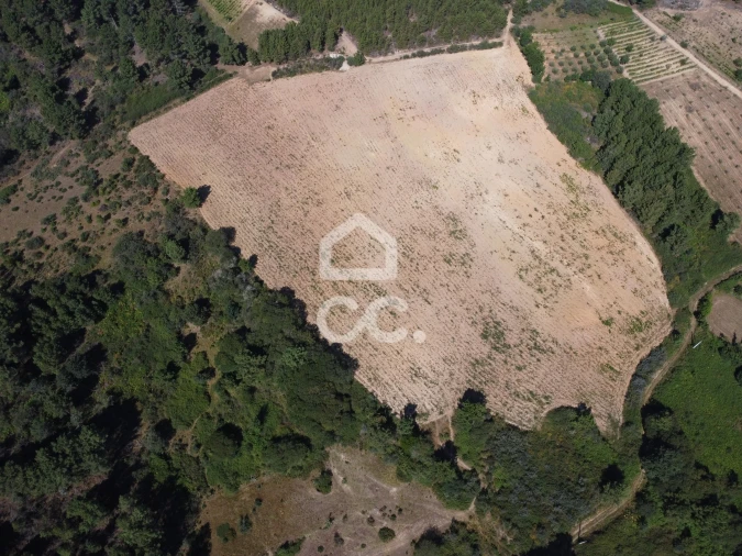 Terreno para Venda em São Pedro de Agostem Foto 8