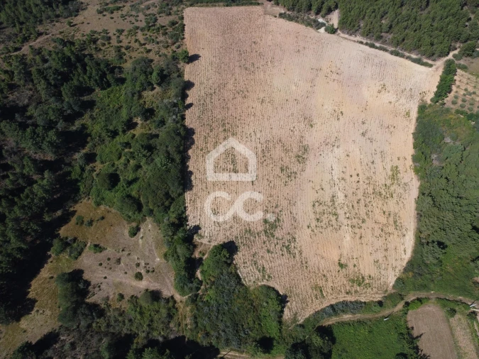 Terreno para Venda em São Pedro de Agostem Foto 9