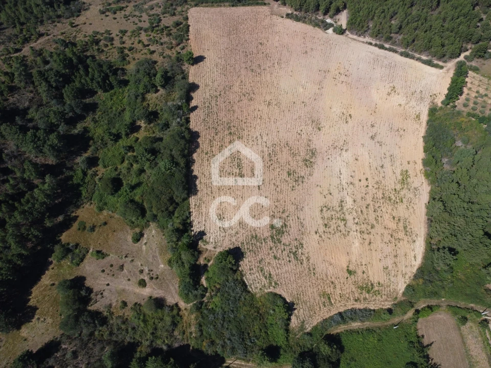 Terreno para Venda em São Pedro de Agostem Foto 9