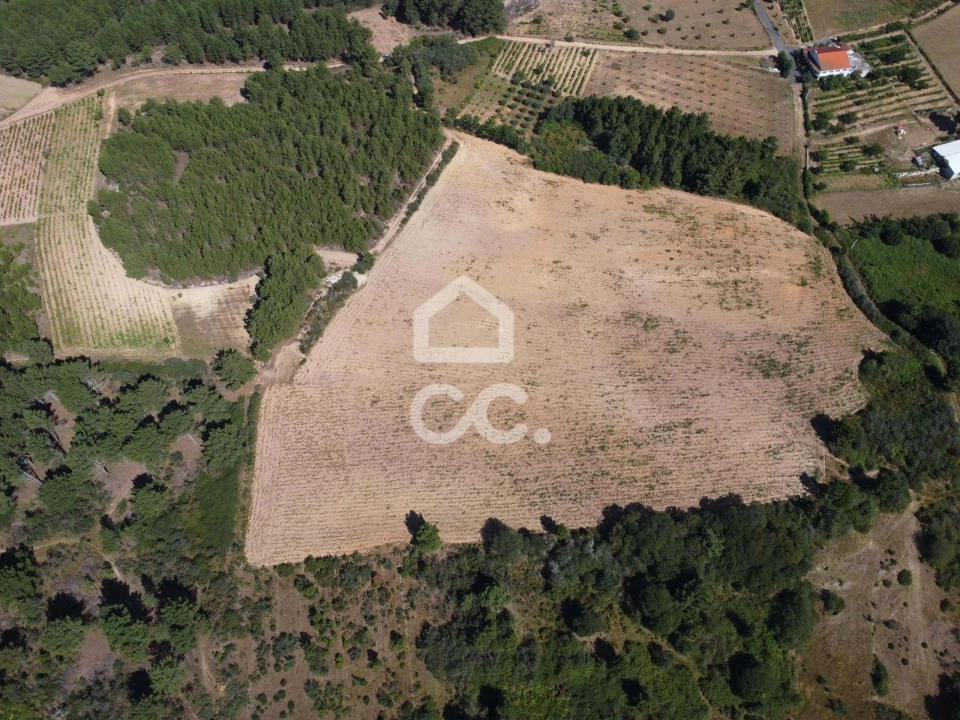 Terreno para Venda em São Pedro de Agostem Foto 4