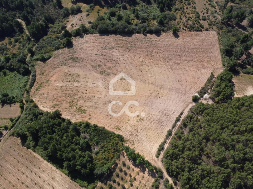 Terreno para Venda em São Pedro de Agostem Foto 10