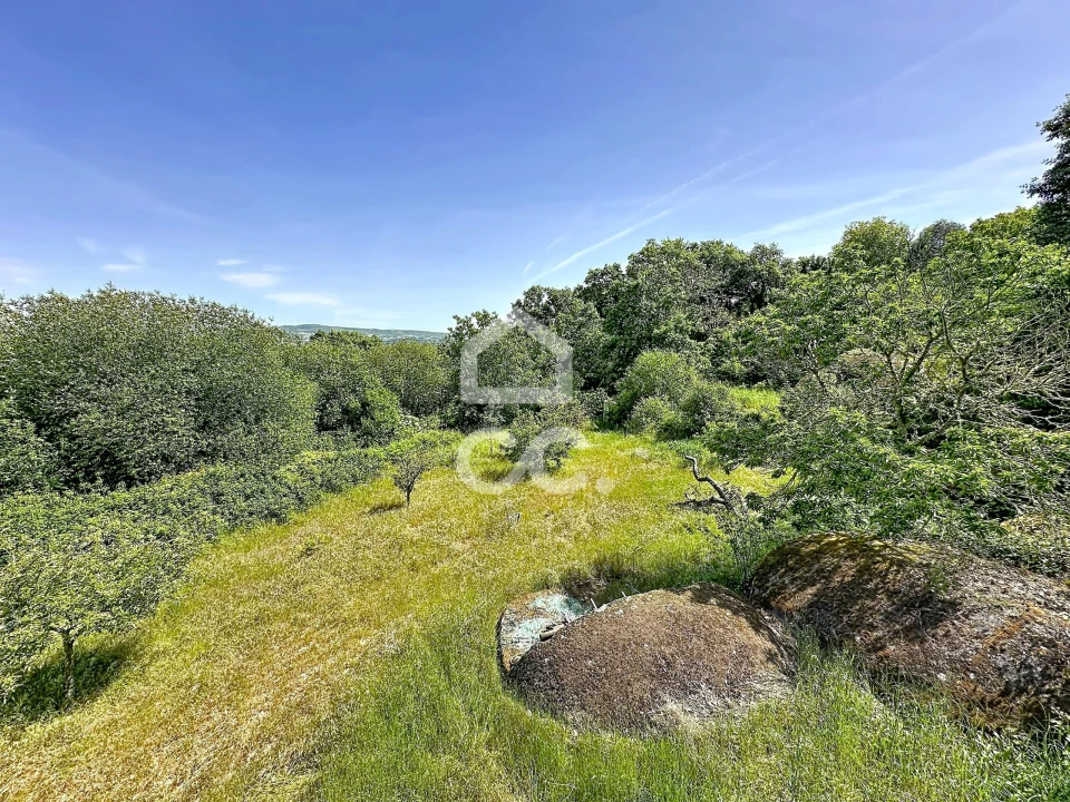 Quinta T3 para Venda em Aguas Frias Foto 38