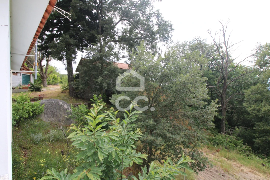 Quinta T3 para Venda em Aguas Frias Foto 17