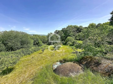 Quinta T3 para Venda em Aguas Frias