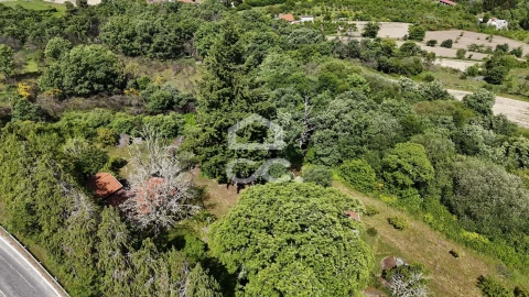 Quinta T3 para Venda em Aguas Frias