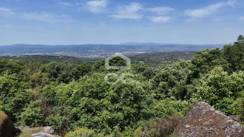 Quinta T3 para Venda em Aguas Frias