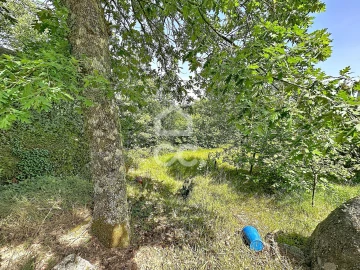 Quinta T3 para Venda em Aguas Frias
