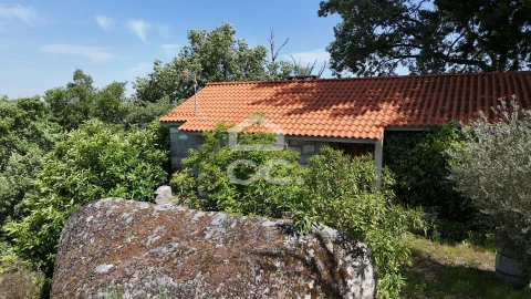 Quinta T3 para Venda em Aguas Frias