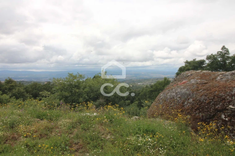 Quinta T3 para Venda em Aguas Frias Foto 14