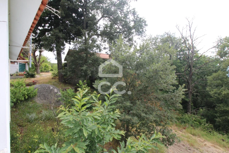 Quinta T3 para Venda em Aguas Frias Foto 17